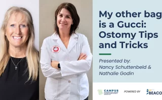 Reports in Momentum [English and French]